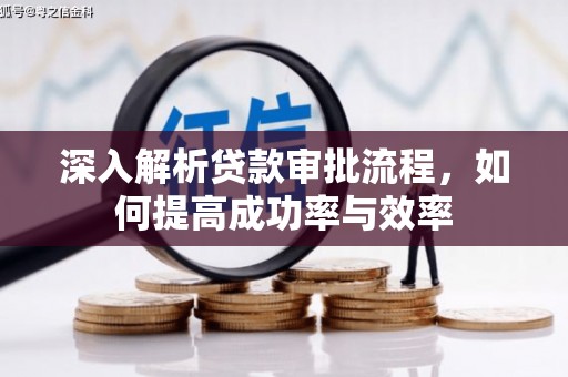 南宫深入解析贷款审批流程，如何提高成功率与效率