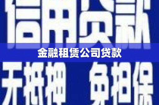 南宫金融租赁公司贷款