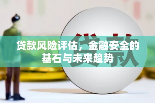南宫贷款风险评估，金融安全的基石与未来趋势