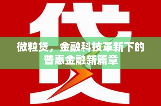 南宫微粒贷，金融科技革新下的普惠金融新篇章