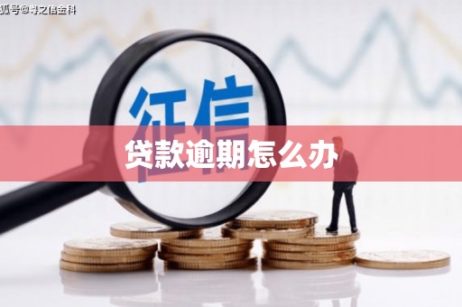 南宫贷款逾期怎么办
