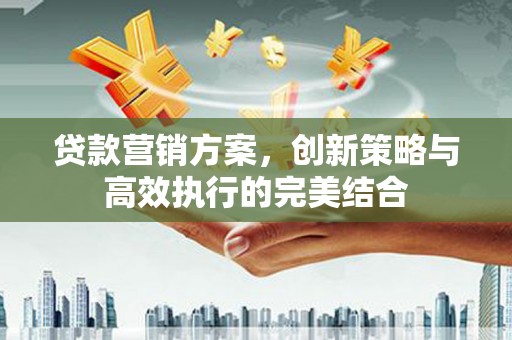 南宫贷款营销方案，创新策略与高效执行的完美结合