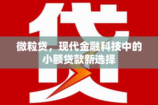南宫微粒贷，现代金融科技中的小额贷款新选择