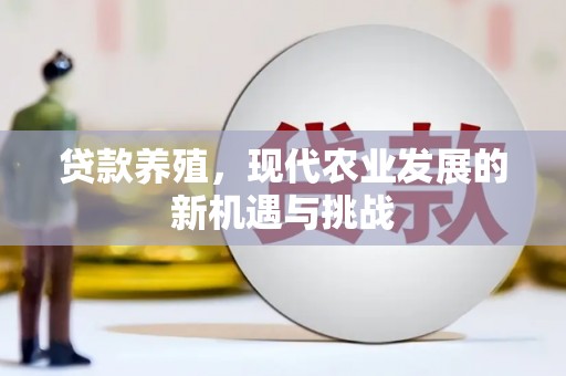 南宫贷款养殖，现代农业发展的新机遇与挑战