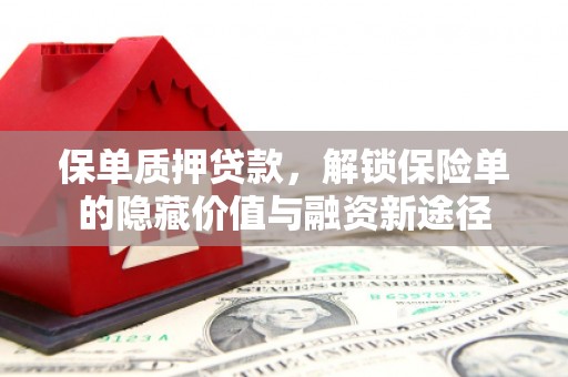 南宫保单质押贷款，解锁保险单的隐藏价值与融资新途径