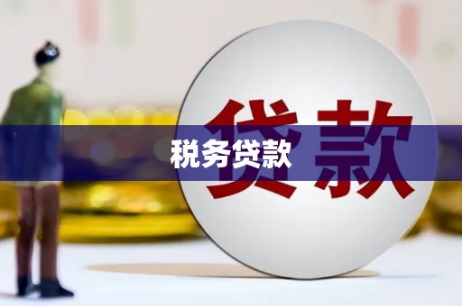 南宫税务贷款