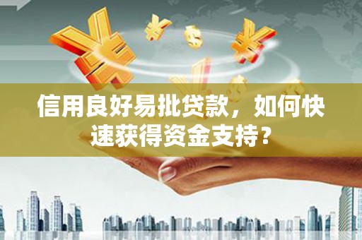 南宫信用良好易批贷款，如何快速获得资金支持？