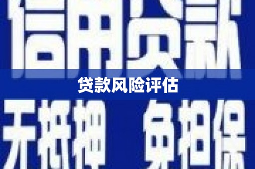南宫贷款风险评估