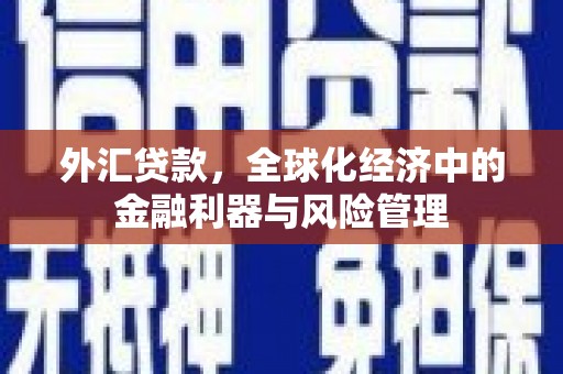 南宫外汇贷款，全球化经济中的金融利器与风险管理