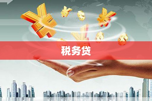 南宫税务贷