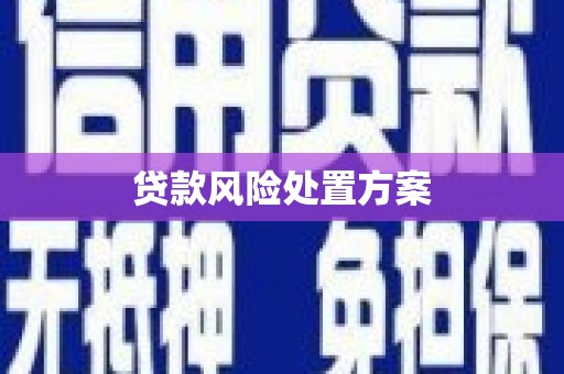 南宫贷款风险处置方案