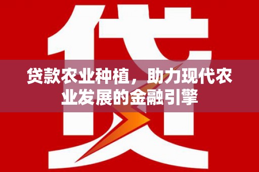 南宫贷款农业种植，助力现代农业发展的金融引擎