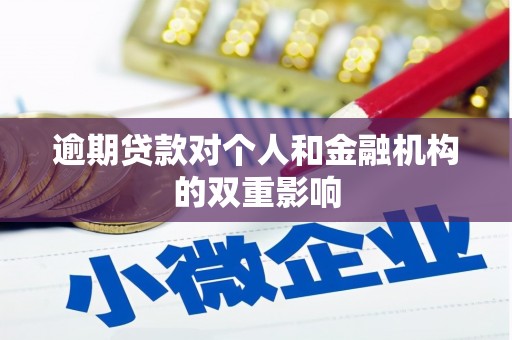 南宫逾期贷款对个人和金融机构的双重影响