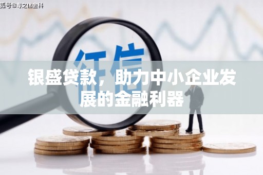 南宫银盛贷款，助力中小企业发展的金融利器
