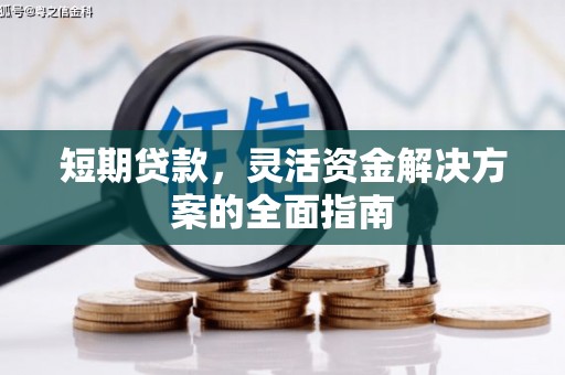 南宫短期贷款，灵活资金解决方案的全面指南
