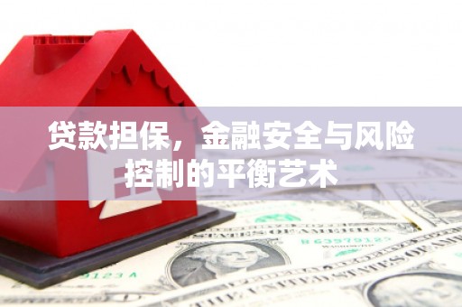 南宫贷款担保，金融安全与风险控制的平衡艺术