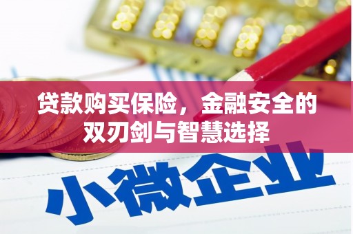 南宫贷款购买保险，金融安全的双刃剑与智慧选择