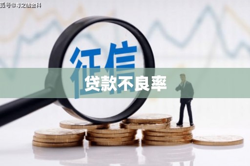 南宫贷款不良率