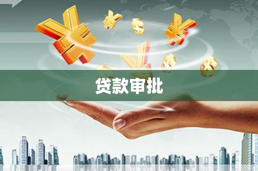 南宫贷款审批