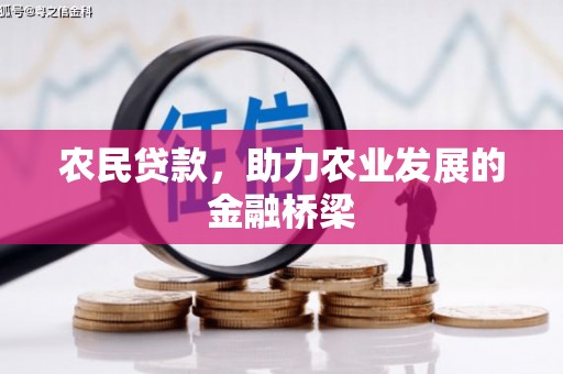 南宫农民贷款，助力农业发展的金融桥梁