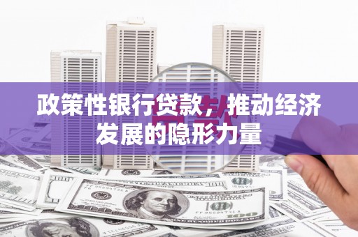 南宫政策性银行贷款，推动经济发展的隐形力量