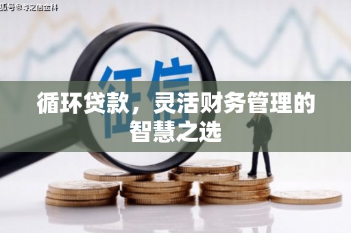 南宫循环贷款，灵活财务管理的智慧之选