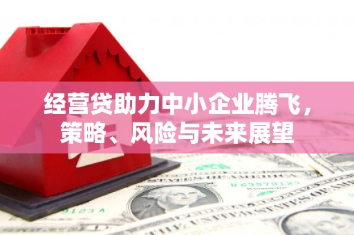 南宫经营贷助力中小企业腾飞，策略、风险与未来展望