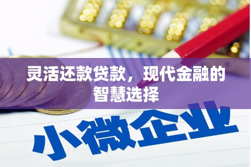 南宫灵活还款贷款，现代金融的智慧选择