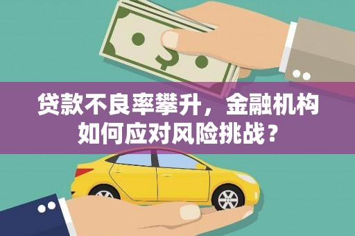 南宫贷款不良率攀升，金融机构如何应对风险挑战？