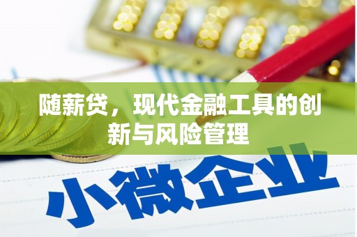 南宫随薪贷，现代金融工具的创新与风险管理