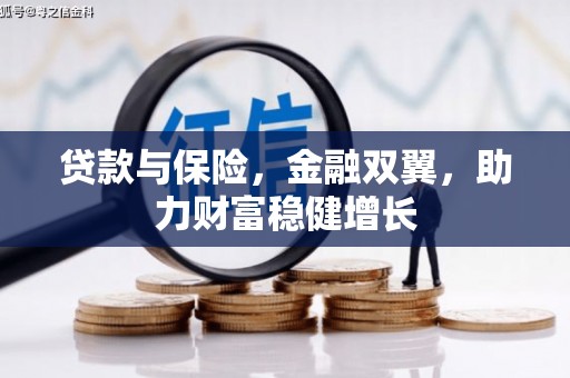 南宫贷款与保险，金融双翼，助力财富稳健增长