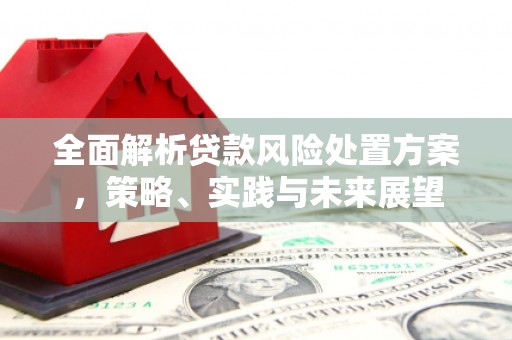 南宫全面解析贷款风险处置方案，策略、实践与未来展望