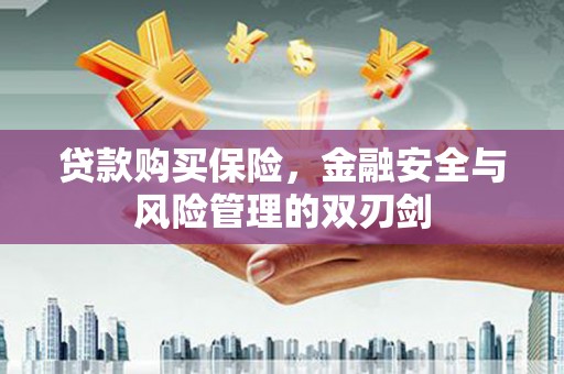 南宫贷款购买保险，金融安全与风险管理的双刃剑