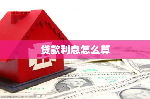 南宫贷款利息怎么算