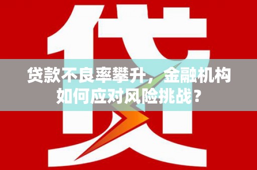 南宫贷款不良率攀升，金融机构如何应对风险挑战？