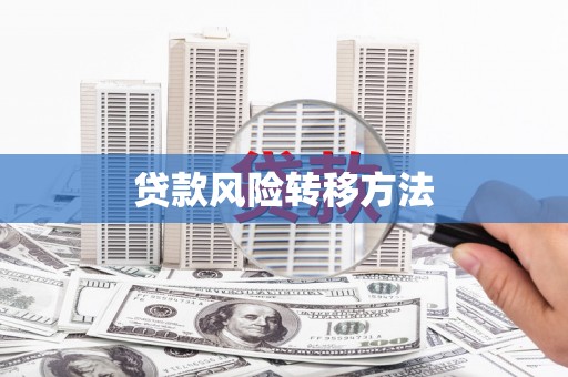 南宫贷款风险转移方法 南宫贷款风险转移方法