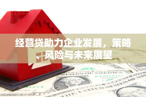南宫经营贷助力企业发展，策略、风险与未来展望