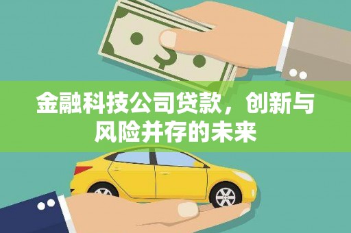 南宫金融科技公司贷款，创新与风险并存的未来