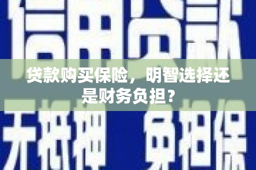 南宫贷款购买保险，明智选择还是财务负担？