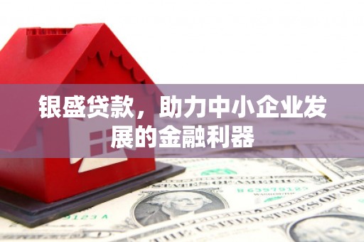 南宫银盛贷款，助力中小企业发展的金融利器