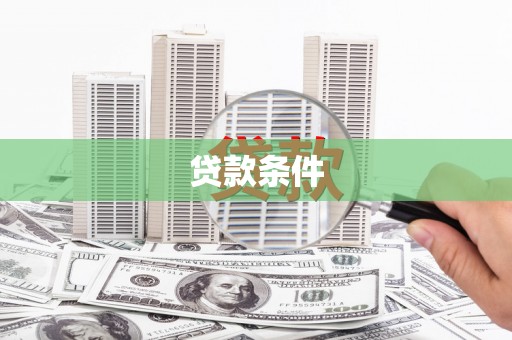 南宫贷款条件