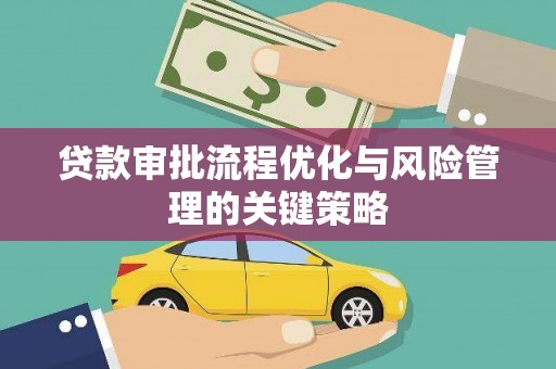 南宫贷款审批流程优化与风险管理的关键策略