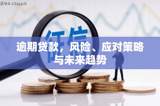 南宫逾期贷款，风险、应对策略与未来趋势