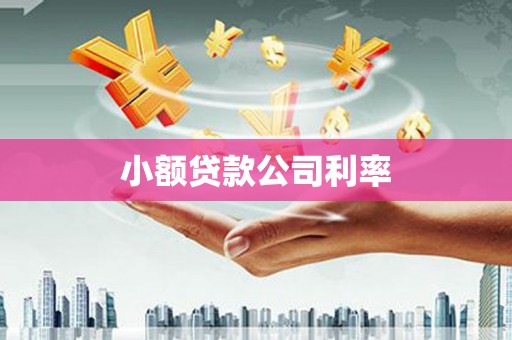 南宫小额贷款公司利率