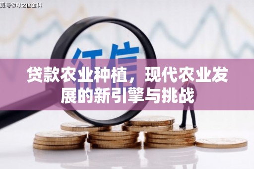 南宫贷款农业种植，现代农业发展的新引擎与挑战