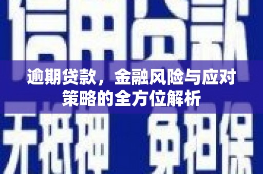 南宫逾期贷款，金融风险与应对策略的全方位解析