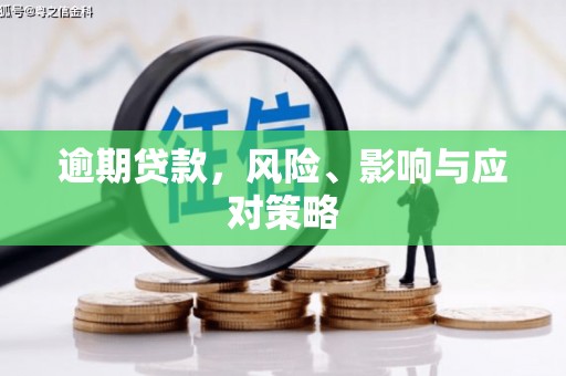 南宫逾期贷款，风险、影响与应对策略