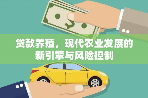 南宫贷款养殖，现代农业发展的新引擎与风险控制