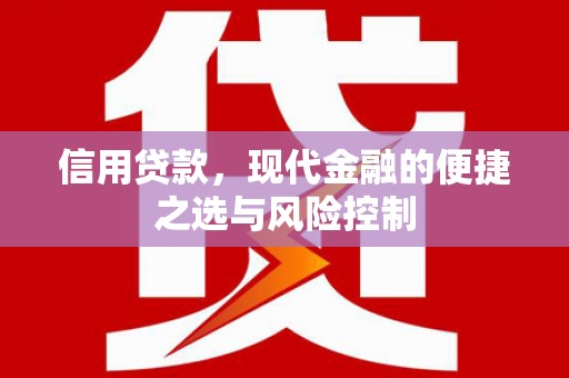 南宫信用贷款，现代金融的便捷之选与风险控制