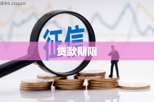 南宫贷款期限